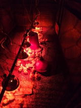 Robert Urtel review photo