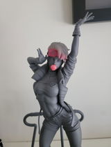 Kirt Winslow review photo