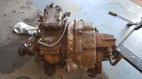ANDREW MINTO review photo