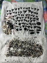 Amy Garcia review photo