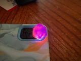 Bryn F. review photo