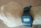 Luis Gallardo review photo