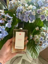 Solene37 review photo