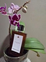 Axellebak review photo