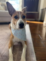 BeckyK review photo