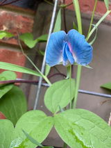 Agrinde review photo