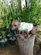 Jeremy Garcia review photo