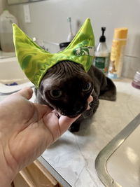 4-ALL PETS SHOWER / EAR / SUN CAP!