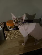 Violet’s Mom review photo