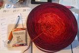 Michaela M. review photo