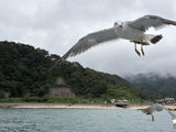 匿名 review photo