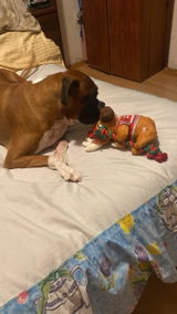 Rocio M. review photo
