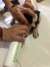 Leidy Carolina P. review photo