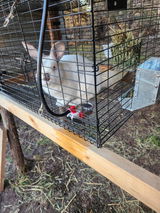 Clint &.M.H. review photo