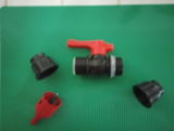 L. M. review photo