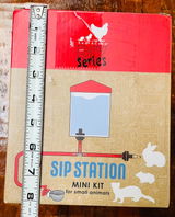Soli D.G. review photo