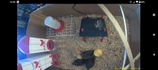 CrazyCatLady551 review photo