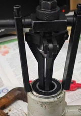 Filippo review photo