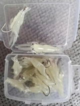 Diego review photo