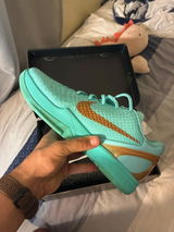 Nolle P. review photo