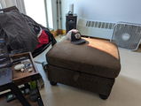 Anwr review photo