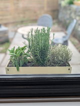 Harry Bush review photo