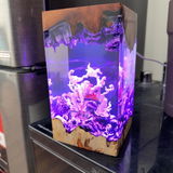 1100_episodes_gift review photo