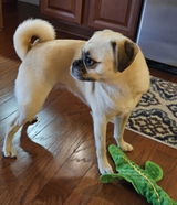 Sheila M. review photo