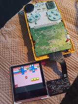Niklas review photo