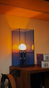 Willow S. review photo