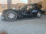 Darryl Haynesworth review photo
