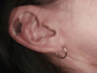 Lotus Flower Hidden Helix • CRT023 B