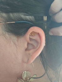 Lotus Flower Hidden Helix