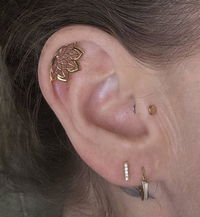 Lotus Flower Hidden Helix
