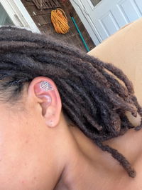 Spider Web Helix Earring