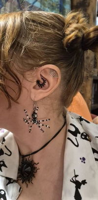 Spider Web Helix Earring