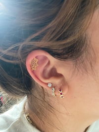 Lotus Flower Hidden Helix • CRT023 B