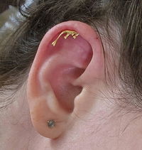 Dripping Silver Helix Earring