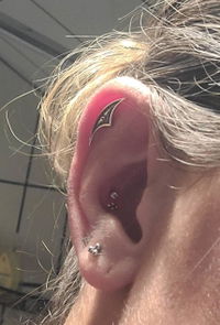 Goth Arch Hidden Helix Earring