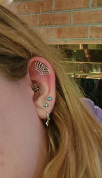 Spider Web Helix Earring