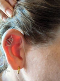 Spider Web Helix Earring