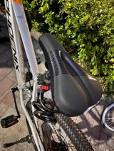 Bernd H. review photo