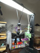 Debb review photo