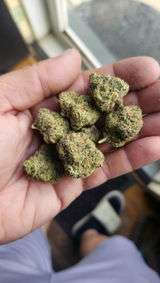 Cody Lugar review photo