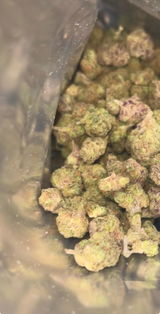 Casper review photo