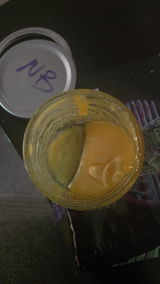beebz Bloyer review photo