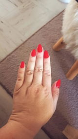 Amelie bv review photo