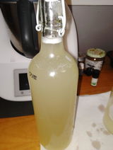 Kombucha review photo