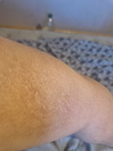 Mobina Ali review photo
