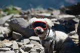 Rob S. review photo